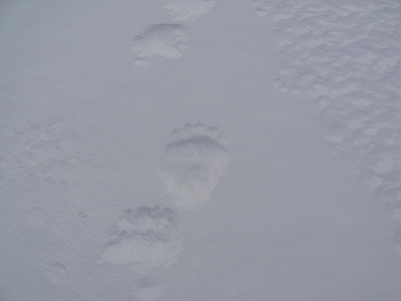 tracks off and nutepl'men 004.jpg
